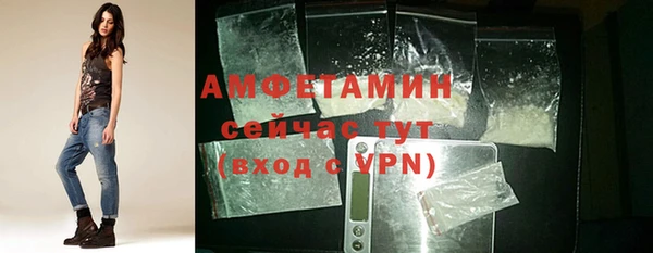 МДПВ Пересвет