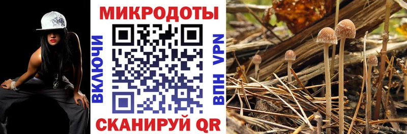 купить  сайты  мориарти официальный сайт  Псилоцибиновые грибы GOLDEN TEACHER  Нерчинск 